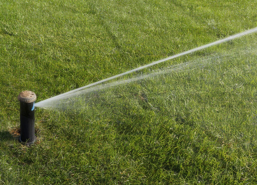 Watering-sod-in-Palm-Coast-Florida | Connolly Landscaping A pop-up sprinkler watering newly laid sod on a sunny day in Palm Coast.